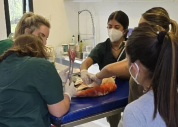 720 2025 02 27t074548.940