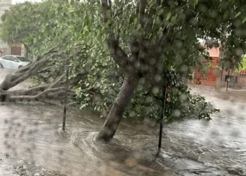 720 2025 02 27t075908.862