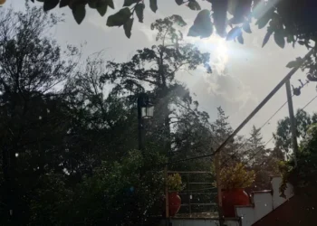 720 2025 03 05t073007.252