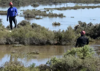 720 2025 03 10t121942.260