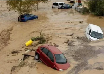 720 2025 03 12t131317.060