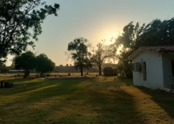 720 2025 03 17t075228.612