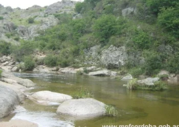 720 2025 03 18t074649.317