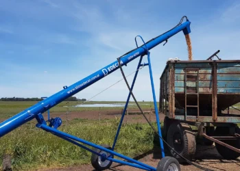 720 2025 03 19t081120.238