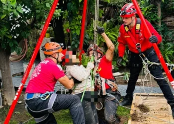 720 2025 03 26t100618.629