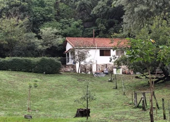 720 2025 03 27t100751.967