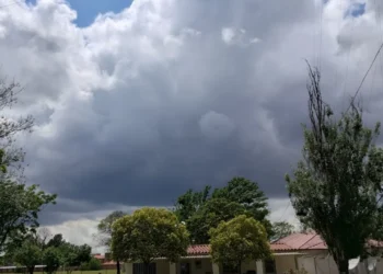 720 2025 03 28t082120.124