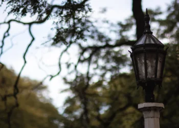 720 2025 04 07t073434.578