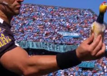 720 2025 04 10t073619.877