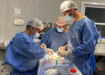 720 2025 04 14t080515.109