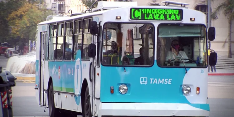 720 (74)