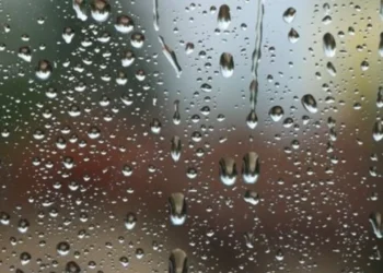 720 2025 05 22t072059.667