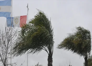 720 2025 05 26t114204.542