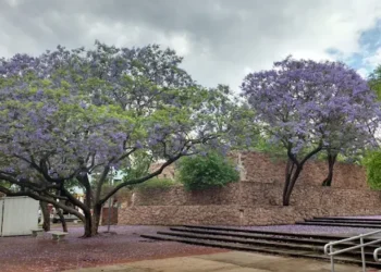 720 2025 05 26t114519.626