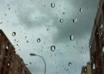 720 2025 05 27t095126.719