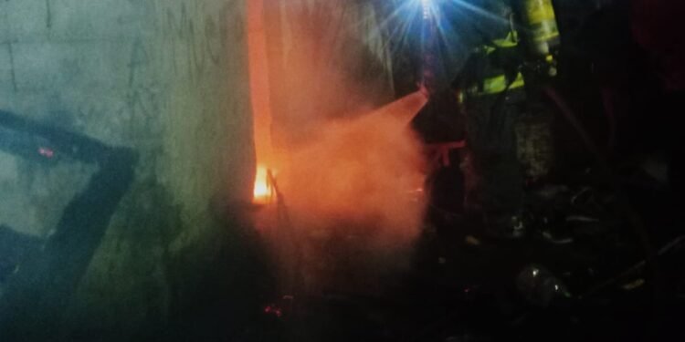 Imagen de whatsapp 2025 05 21 a las 05.39.39 7410670e
