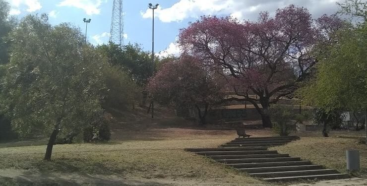 Image (1)