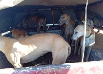 720 2025 06 03t130731.562