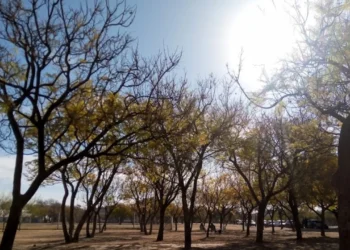 720 2025 06 04t081206.325