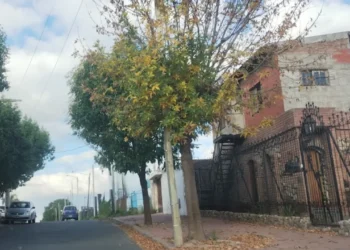 720 2025 06 06t080828.943