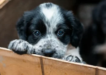 720 2025 06 12t134744.201