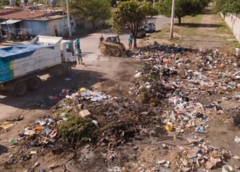 170 toneladas de residuos retiradas en un operativo integral en la zona sudeste