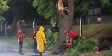 Defensa Civil asistió 91 solicitudes durante la tormenta: no se registraron llamadas por evacuación de vivienda