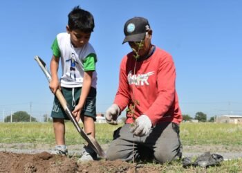 Más verde urbano: comenzó la plantación de 2000 nuevos árboles nativos en ocho ciudades del área metropolitana