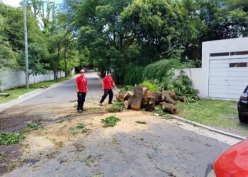 Durante el fin de semana se registraron 950 llamadas a Defensa Civil municipal
