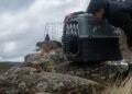 Fueron liberados veinte ejemplares de fauna silvestre en la zona de Colanchanga
