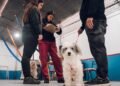 🐕 Los operativos de vacunación antirrábica para perros y gatos continúan recorriendo la ciudad