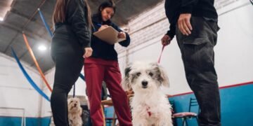🐕 Los operativos de vacunación antirrábica para perros y gatos continúan recorriendo la ciudad