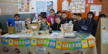 Proyectos municipales avanzan a la instancia provincial de la Feria de Ciencias 2026