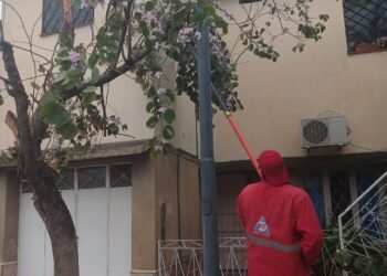 ⛑️ Defensa Civil atendió 37 requerimientos causados por la lluvia: en barrio Sargento Cabral se registraron más de 40 milímetros